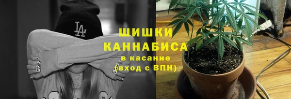 прущие грибы Алзамай
