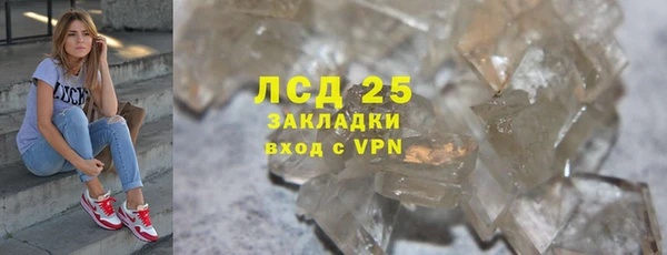 прущие грибы Алексин