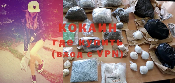 прущие грибы Алзамай