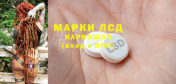прущие грибы Алзамай