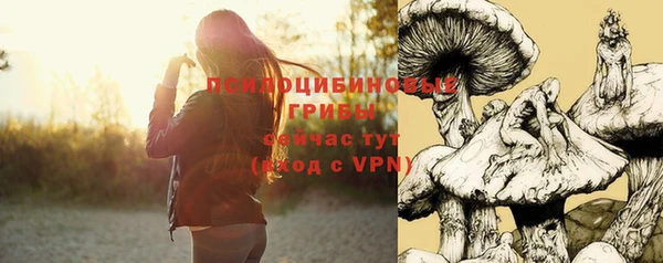 прущие грибы Алзамай